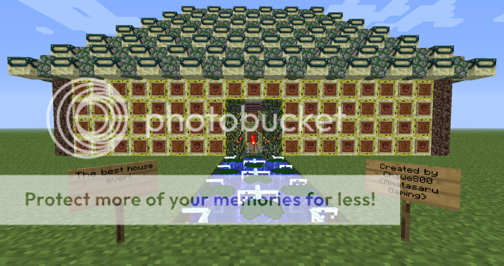 Worst Minecraft house ever? Maps Mapping and Modding Java Edition